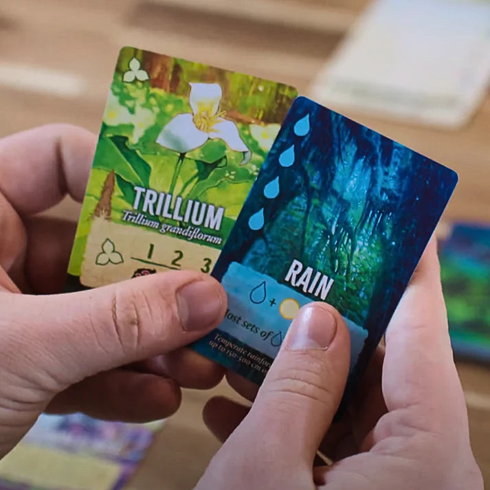 Canopy board game with Two hands holding two cards, one labeled 'Trillium' and the other 'Rain', against a blurred background.
