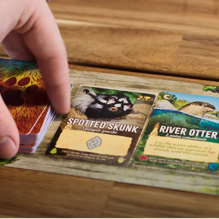 Canopy board game with cards