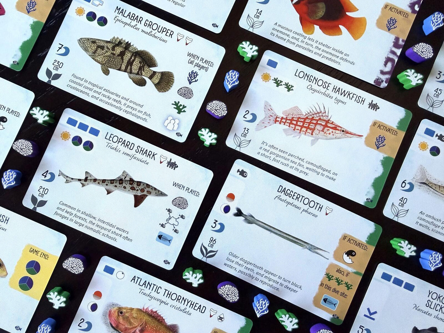 Collection of Finspan cards featuring various marine animals and their names.