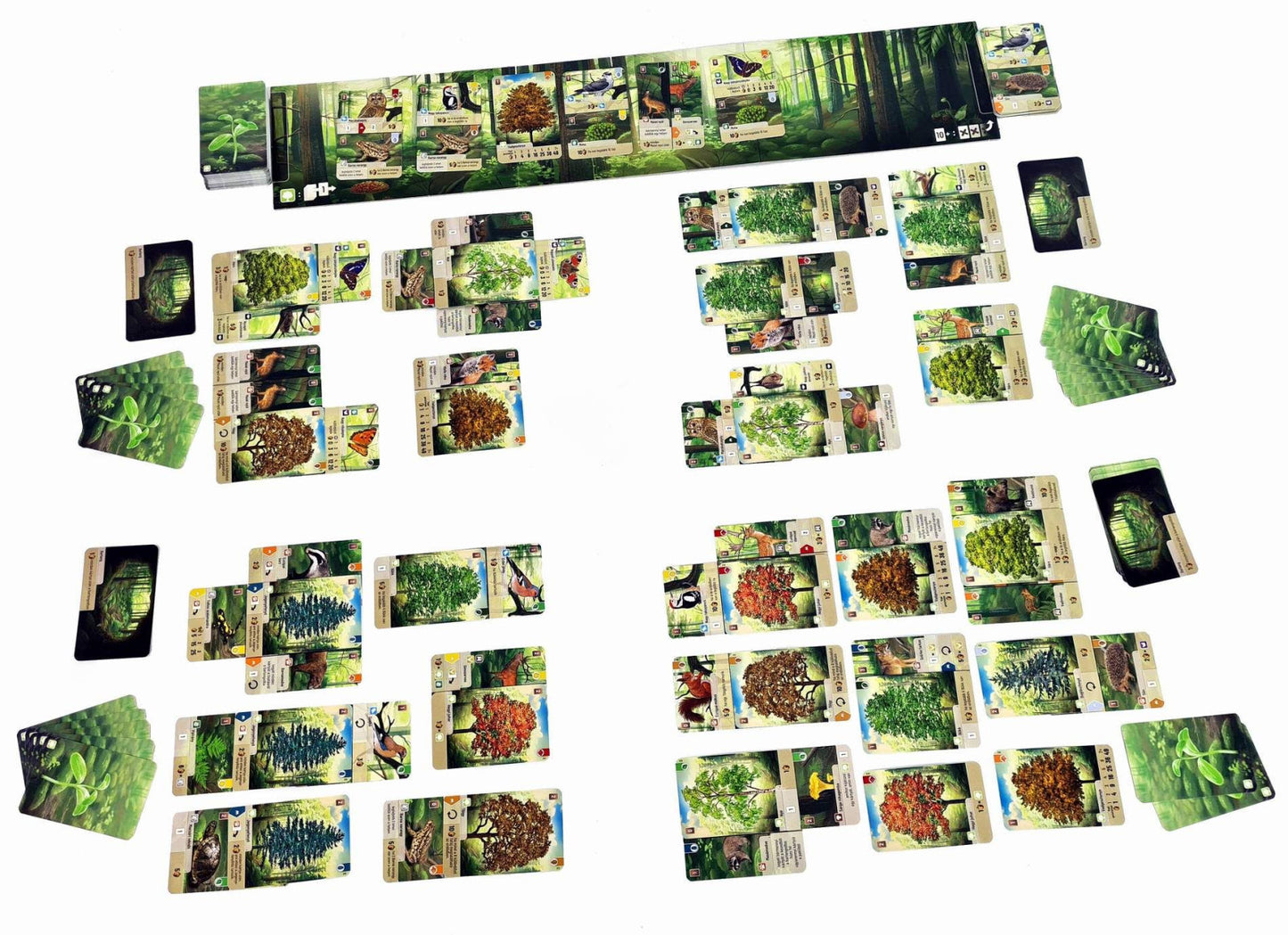 Forest Shuffle Board Game Components