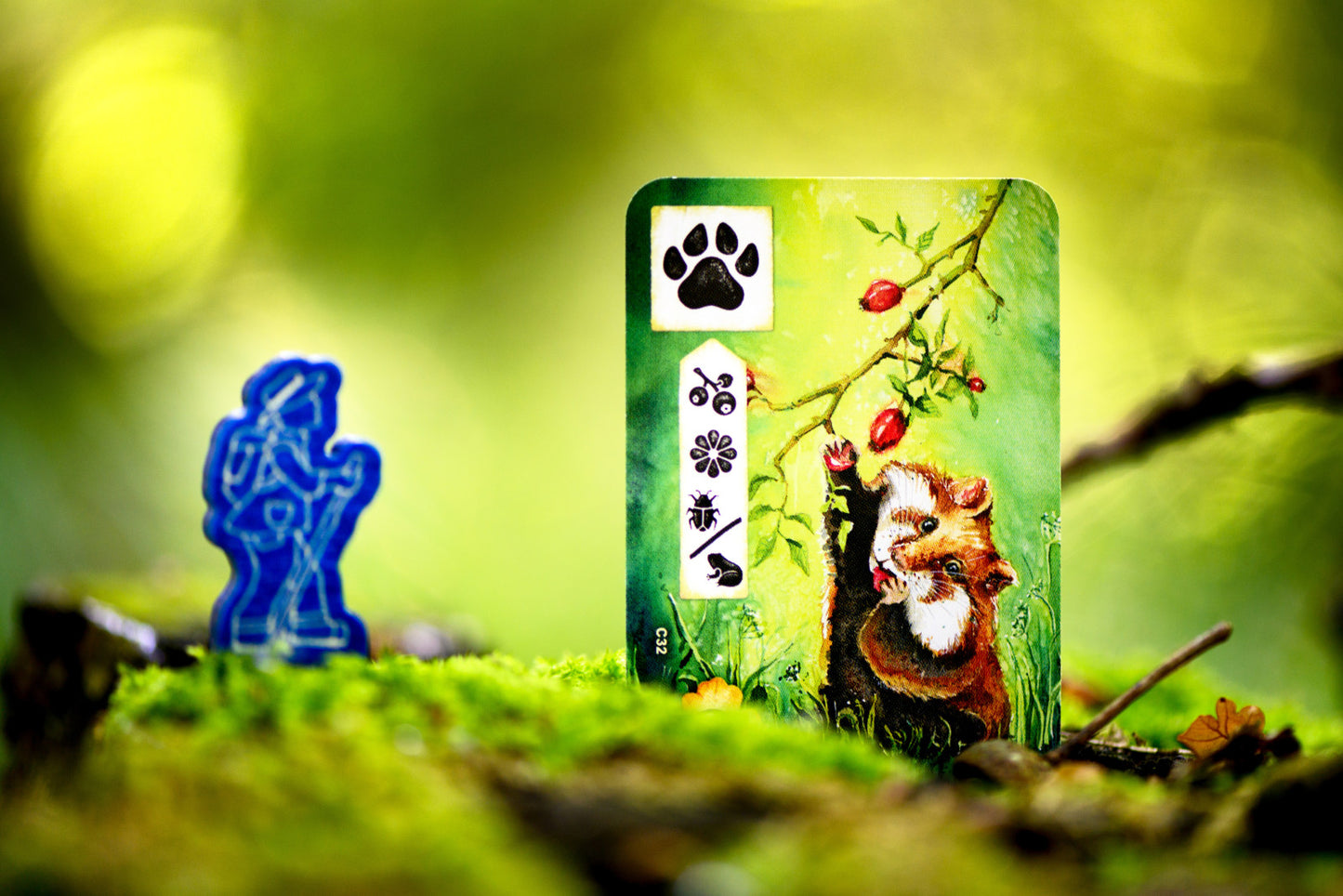 Meadow footprint card