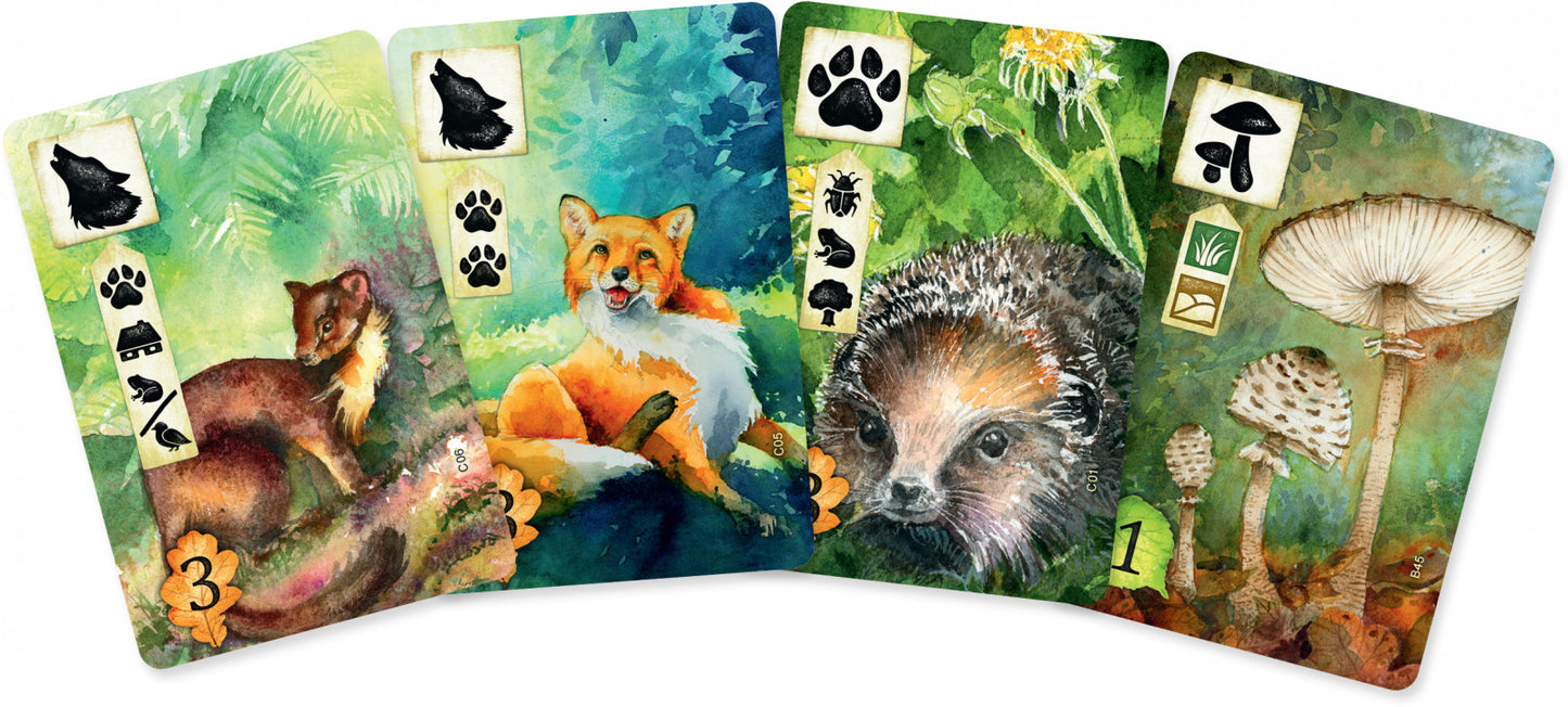 Meadow art cards