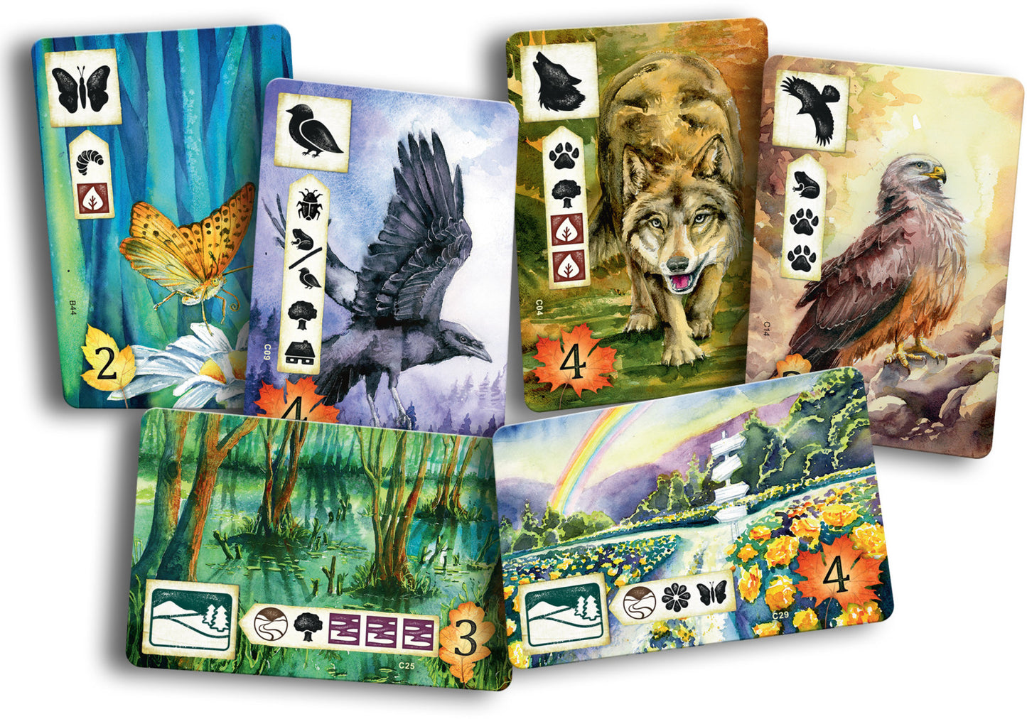 Meadow board game