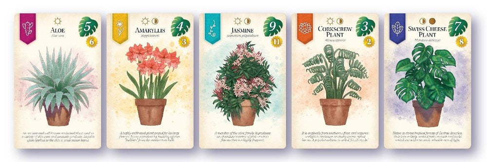 Verdant board game components