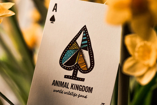 Theory 11 Animal Kingdom Playing Cards