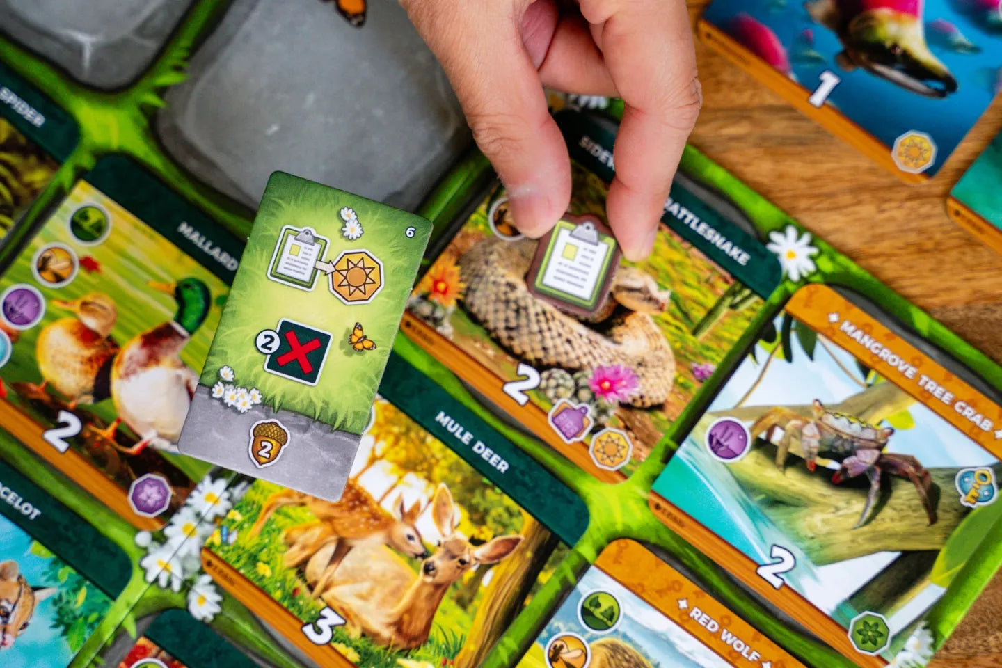 Hand holding a card over a game board with animal-themed cards from Keystone North America Board Game