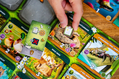 Hand holding a card over a game board with animal-themed cards from Keystone North America Board Game