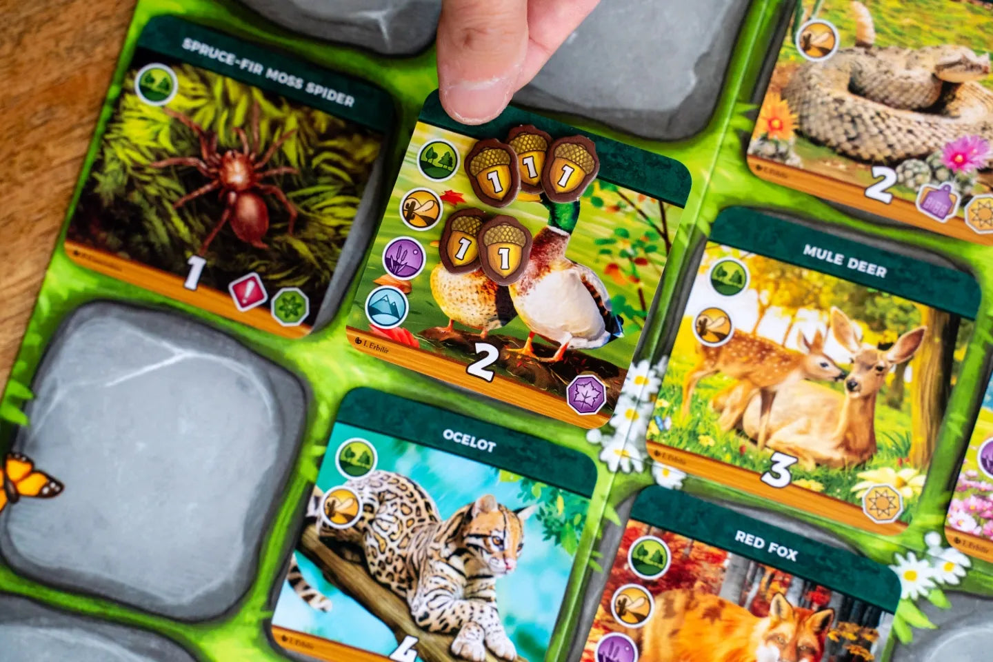 Keystone North America Board Game with animal cards featuring a hand selecting one of them.