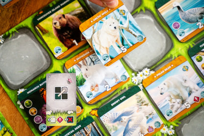 Collection of animal-themed cards on a green surface