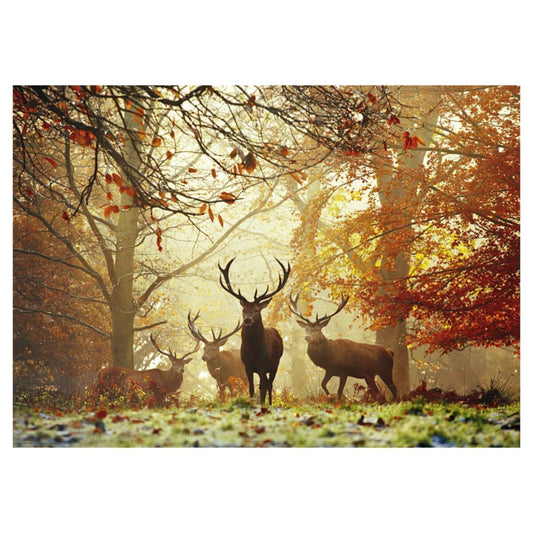 Deer in a forest with autumn foliage