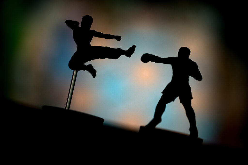 Silhouettes of two martial artists in a dynamic pose against a colorful, blurred background.