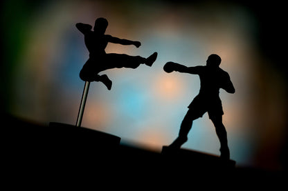 Silhouettes of two martial artists in a dynamic pose against a colorful, blurred background.