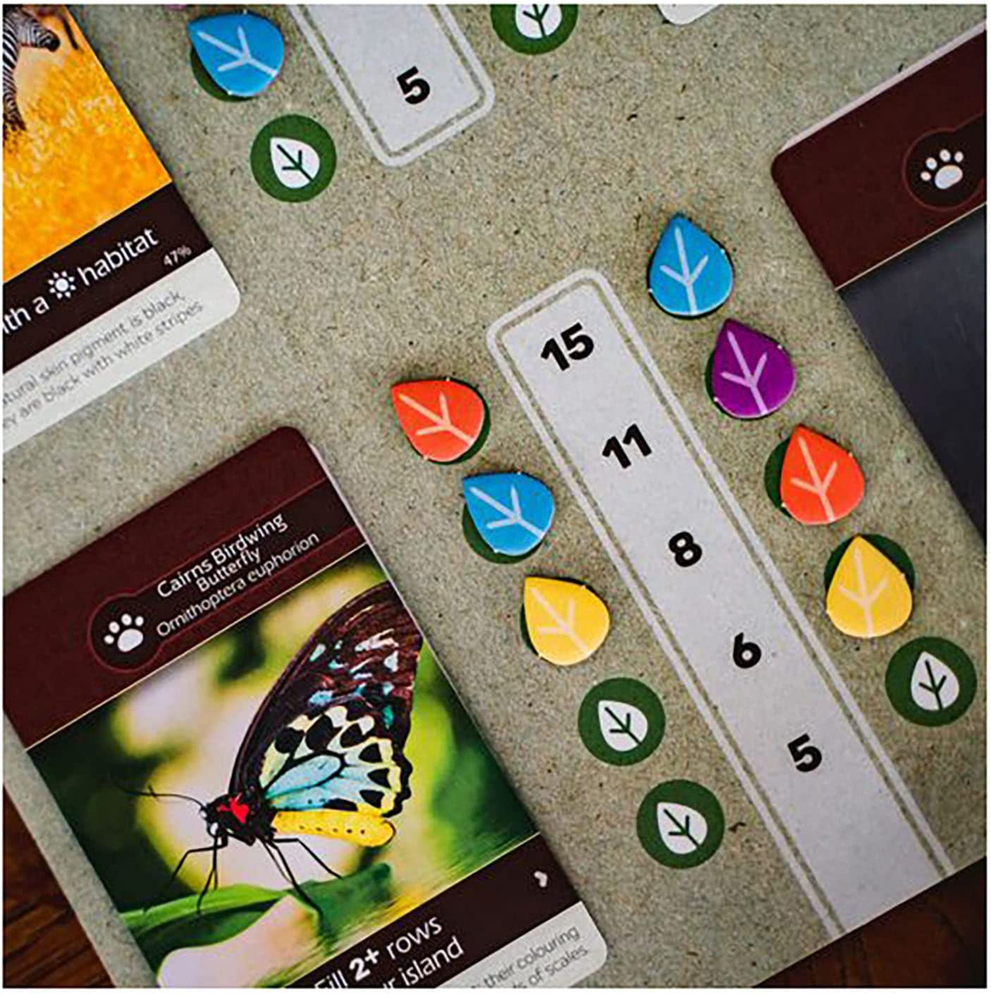 Earth Board game components with cards and colorful tokens on a textured surface
