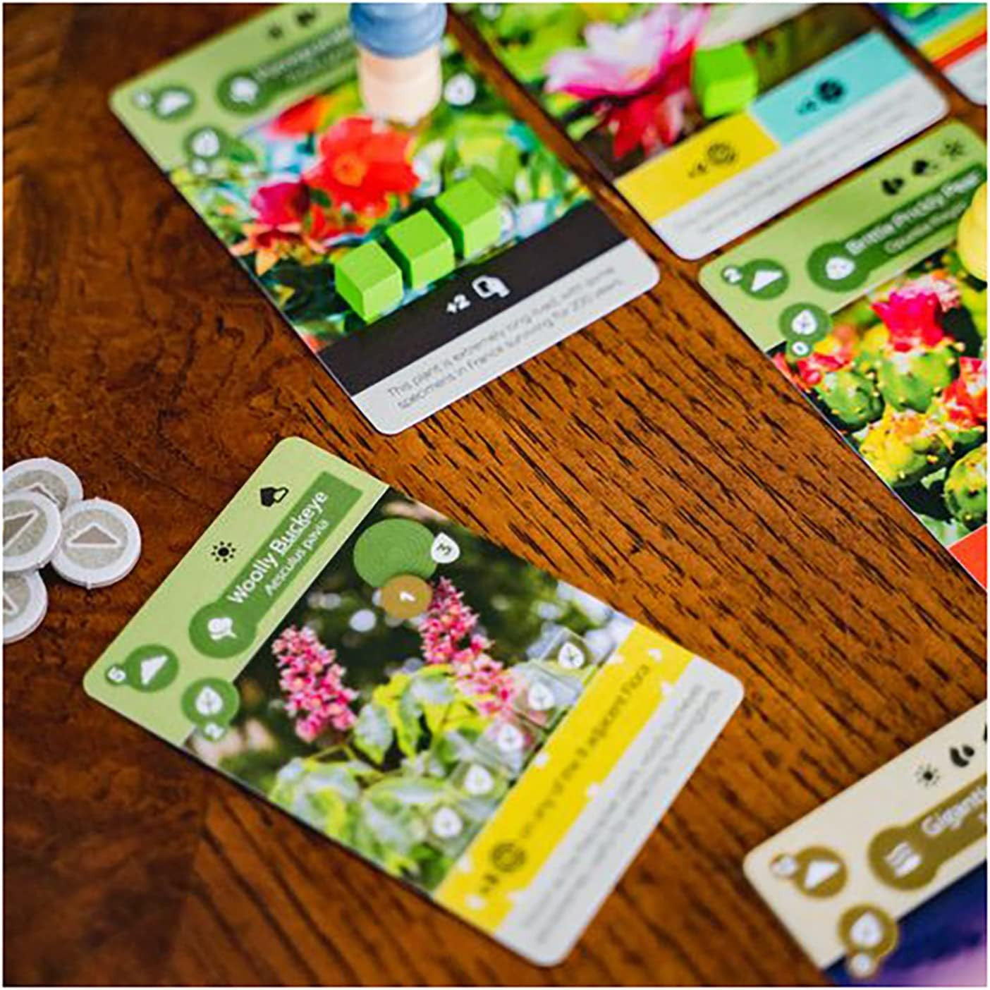 Earth board game Colorful gardening-themed cards on a wooden surface