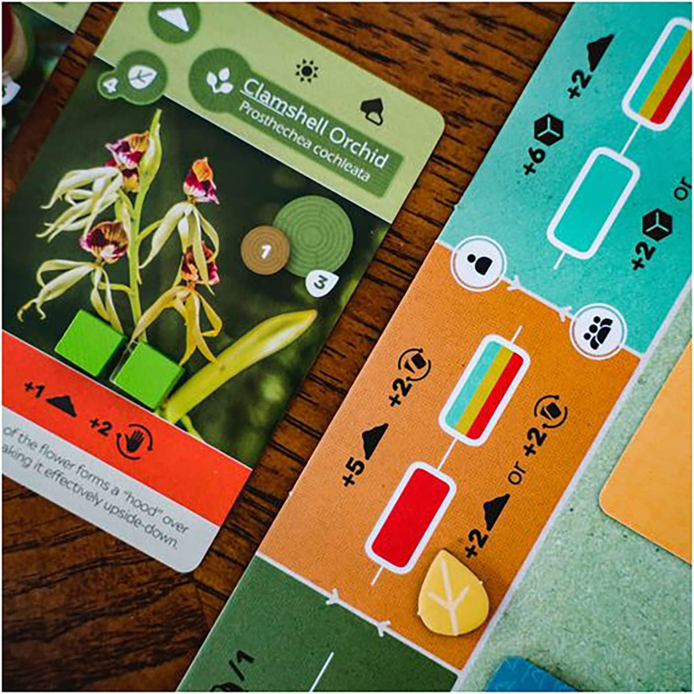 Earth Close-up of colorful game cards with plant illustration and symbols on a wooden surface