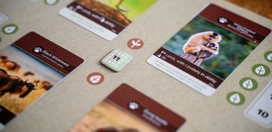 earth Abundance board game expansion