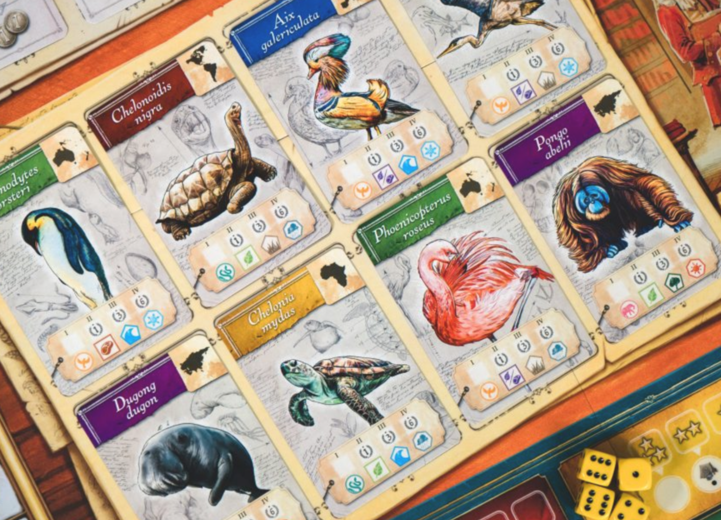 Encyclopedia Close-up of board game cards with animal illustrations and text