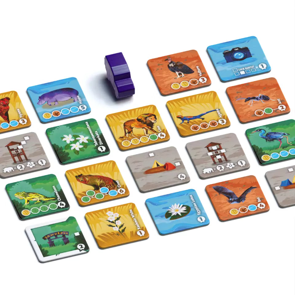 Collection of colorful game cards with various illustrations on a white background
