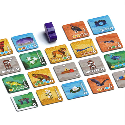 Collection of colorful game cards with various illustrations on a white background
