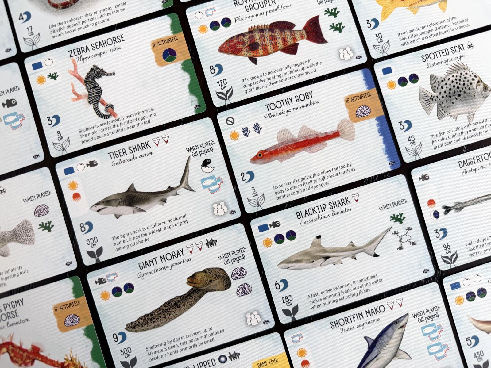 Finspan cards with various marine animals and their names