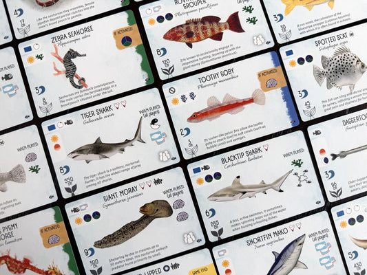 Finspan cards with various marine animals and their names