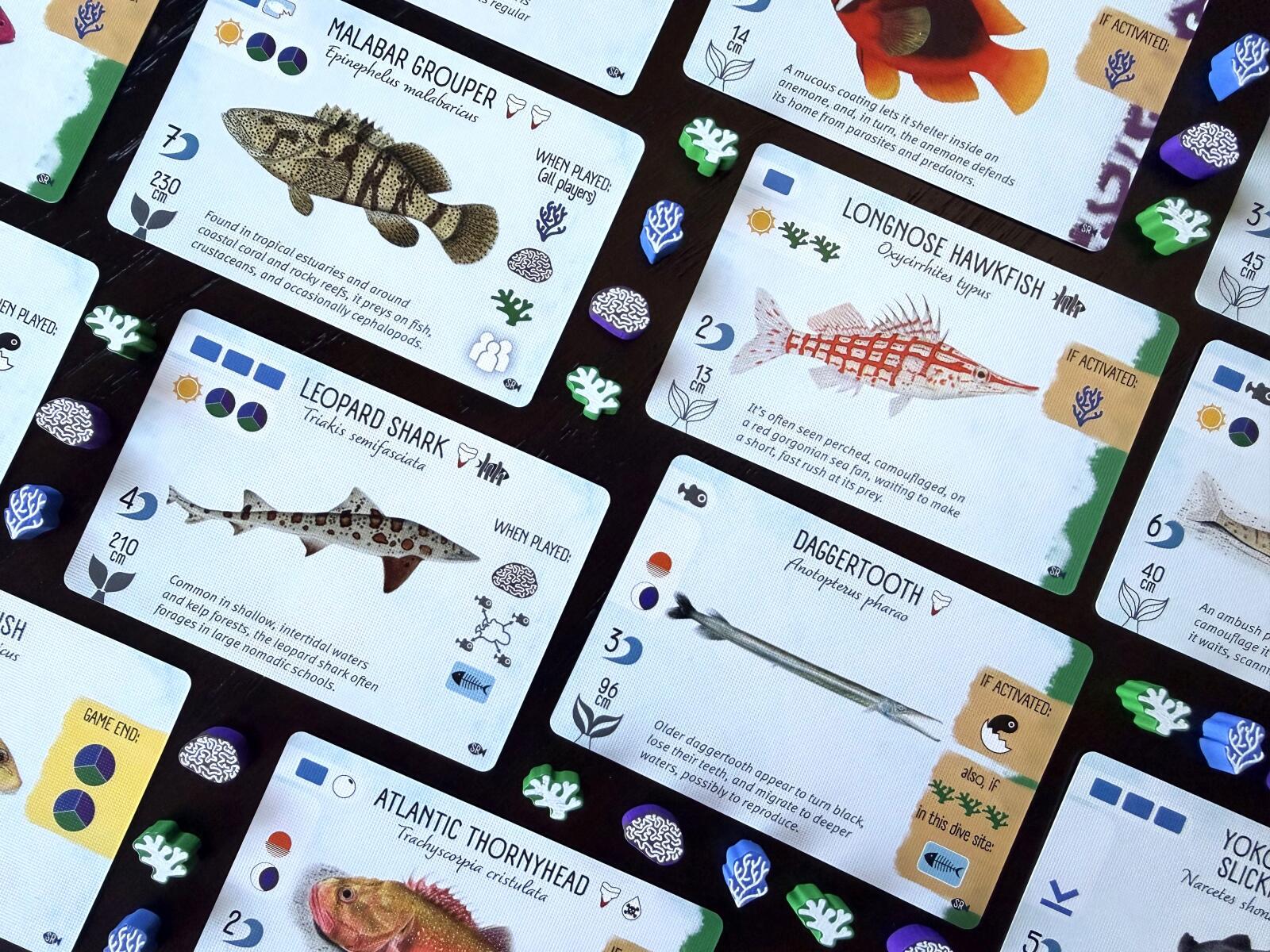 Collection of Finspan cards featuring various marine animals and their names.