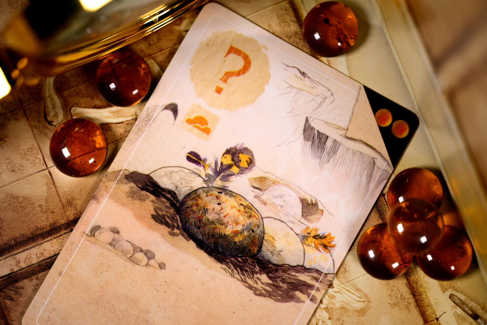 Artistic depiction of a question mark and nature elements on a textured surface with amber-colored stones.