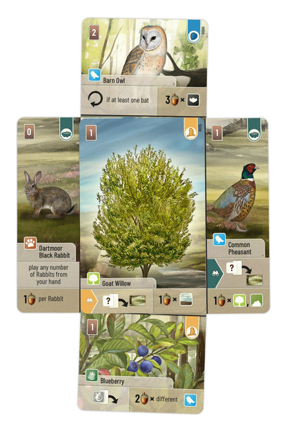 Forest Shuffle Dartmoor board game 