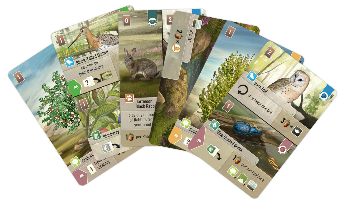 Forest Shuffle Dartmoor board game 