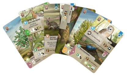 Forest Shuffle Dartmoor board game 