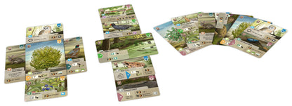 Forest Shuffle Dartmoor board game 