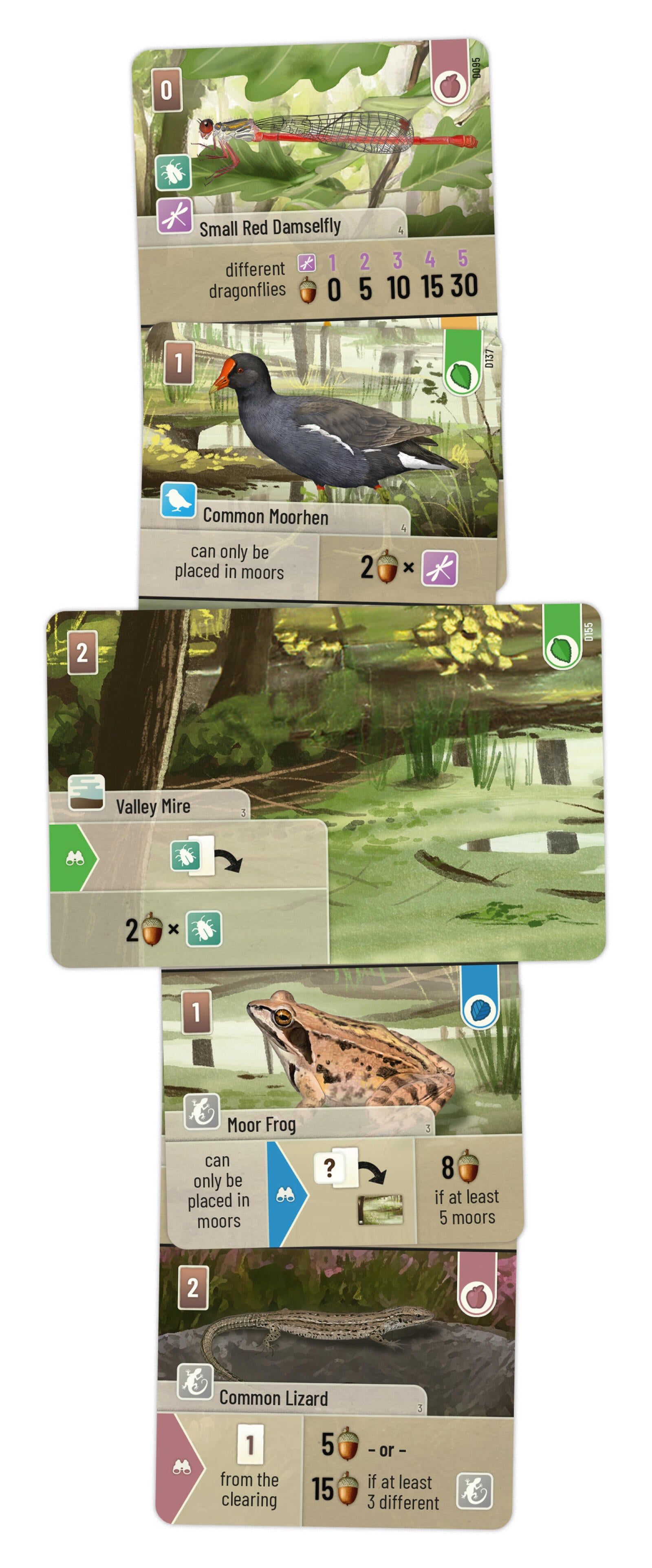 Forest Shuffle Dartmoor board game 