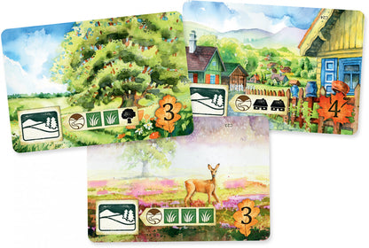 Meadow landscape cards