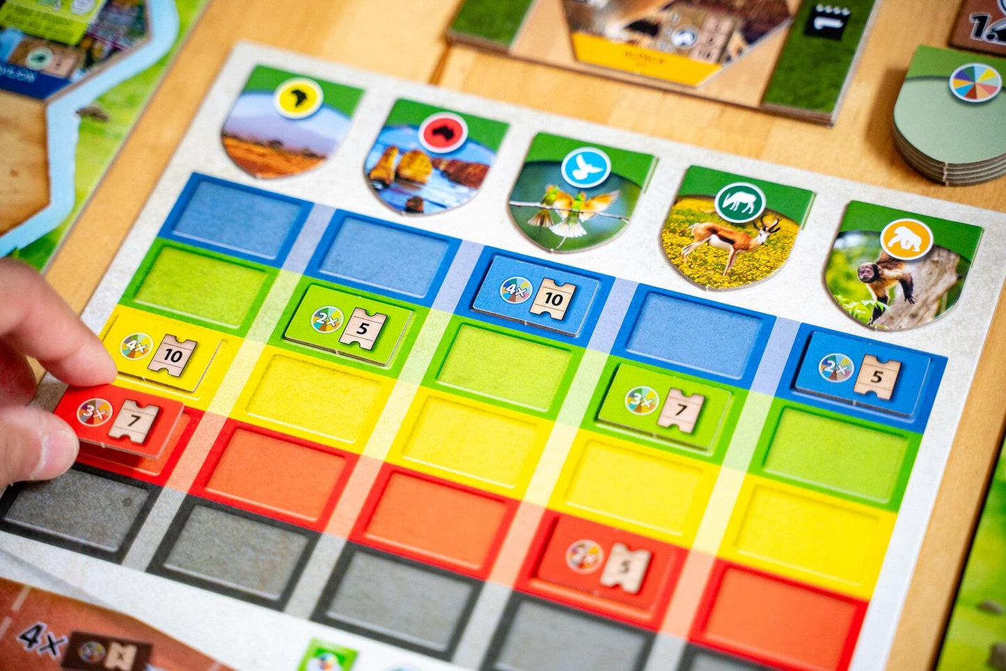 Sanctuary Ark Nova Board game with colorful tiles and a hand placing a red tile