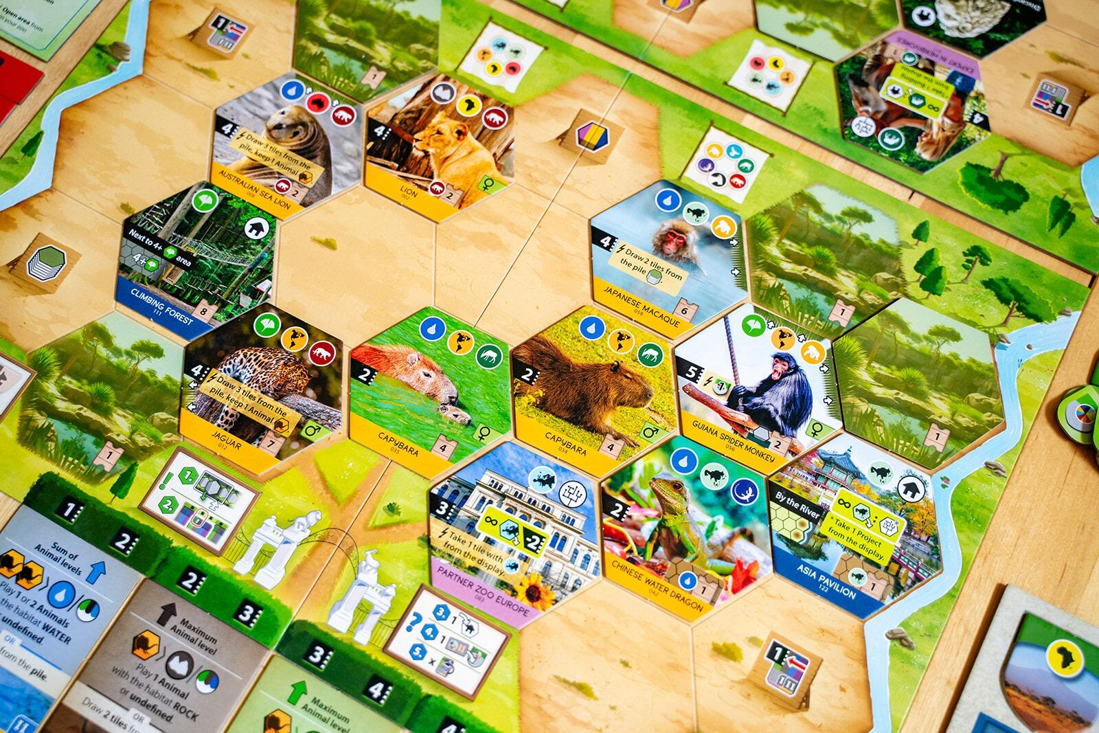 Sanctuary Board game with various cards and pieces on a wooden table