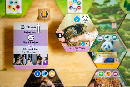 Sanctuary Board game cards with project and tile selection options on a hexagonal board.