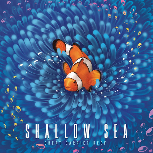 Clownfish swimming among coral with 'Shallow Sea' board game