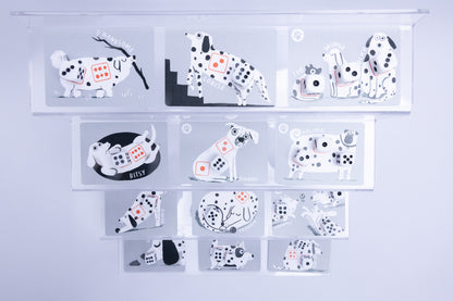 A set of clear acrylic wall-mounted storage trays containing multiple whimsical Dalmatian-themed illustrations and cartoon dog drawings, arranged on a light lavender background.