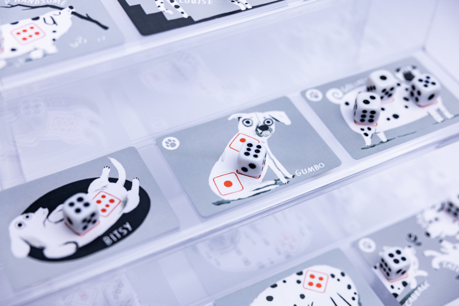 A close-up of a clear display case containing several gray cards with illustrated white dogs and black-and-white dice, some with small red accents. The cards are arranged on a light surface, and the photo has a soft, slightly hazy aesthetic.
