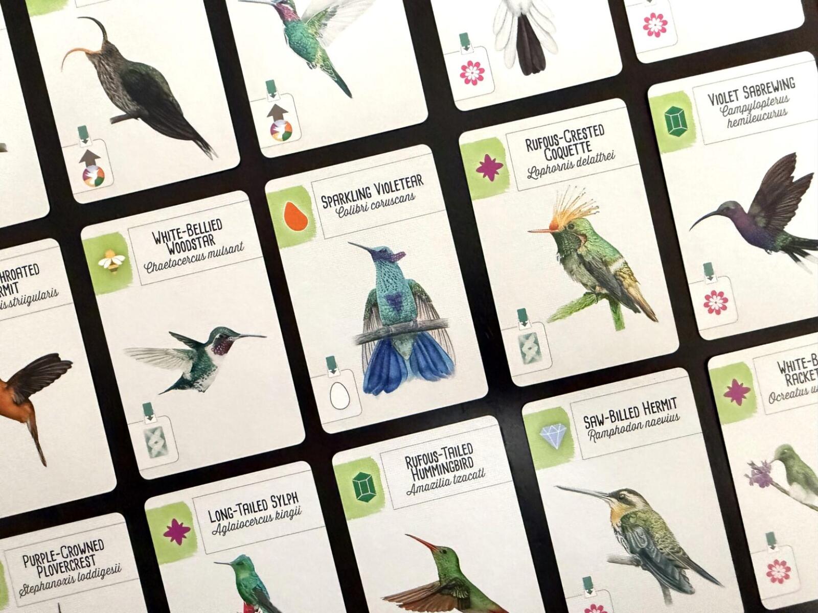 Collection of cards featuring illustrations of various hummingbirds with descriptive text.