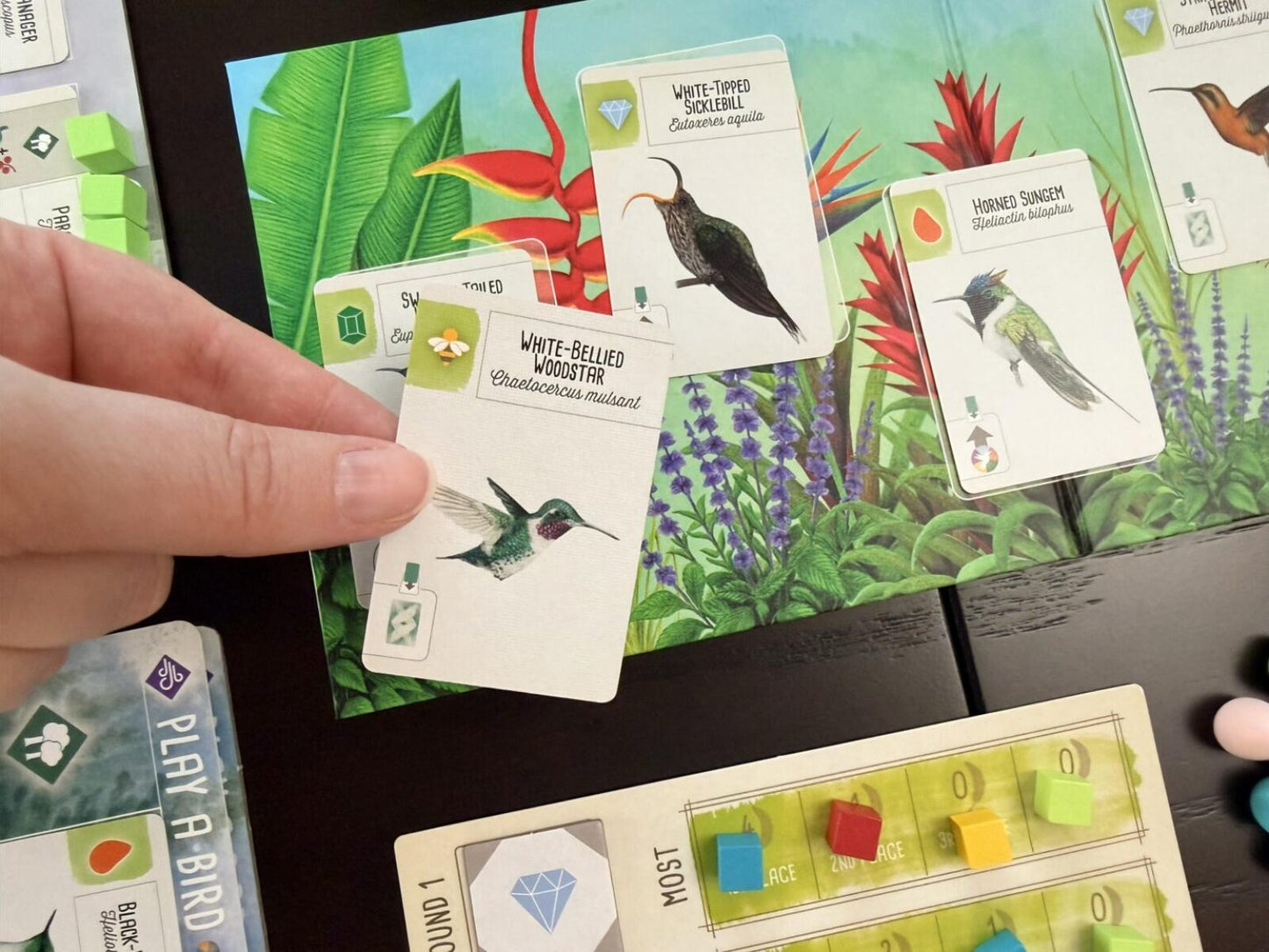 Card game with bird-themed cards and a colorful game board