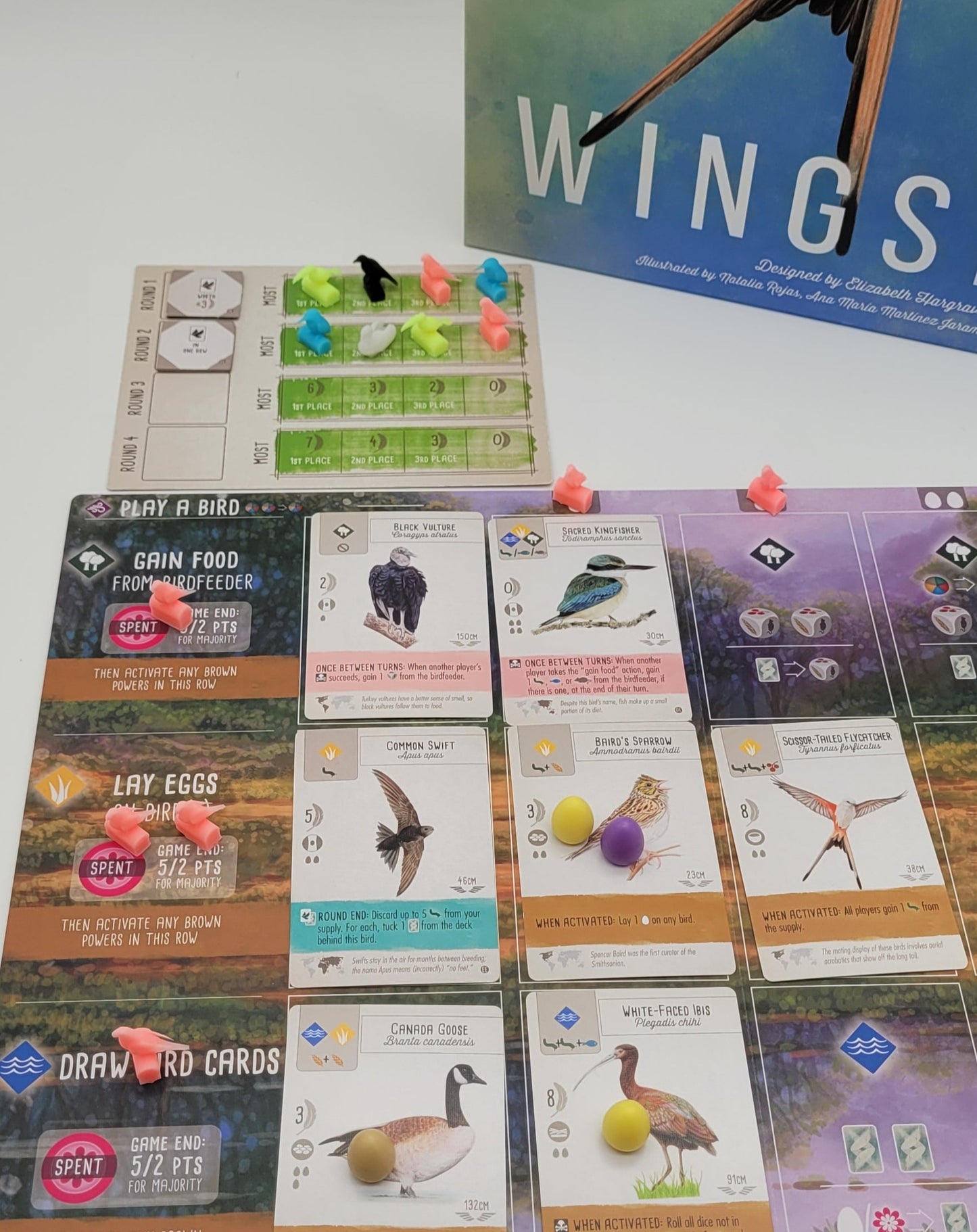 Action Birds Tokens for Wingspan