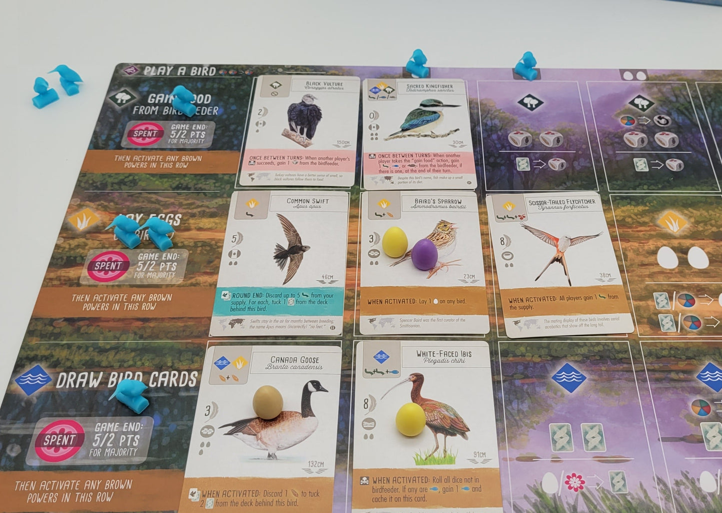 Action Birds Tokens for Wingspan