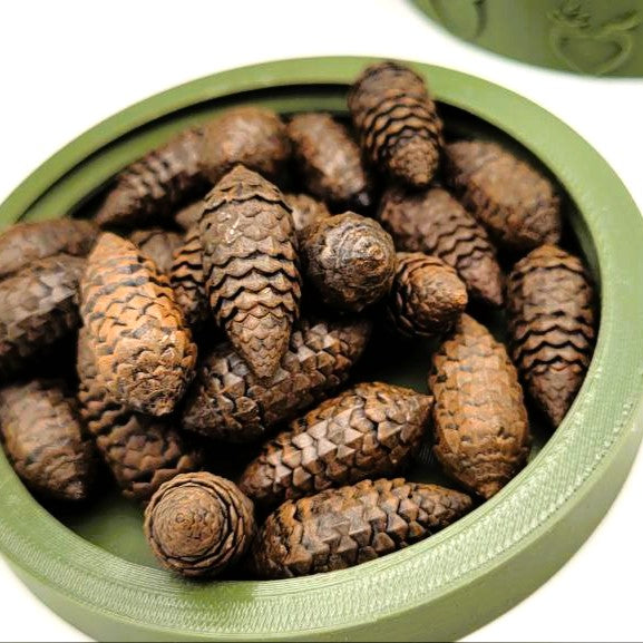 Cascadia board game upgrade pine cones